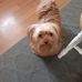 Gail Sprouse - Facebook