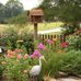 Gayle Sprouse - Facebook