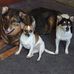 Gail Stacey - Facebook