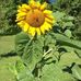 Gail Stivers - Facebook