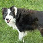 Gale Pickett Stivers - @galestivers - Instagram