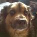Gail Storey - Facebook
