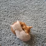 Gail Storey - @gailstorey6 - Instagram