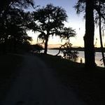 Gail Swartz - @swartzgail - Instagram