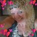 Gail Swartz - Facebook