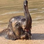 Gail Sweeney - @gsween253 - Instagram