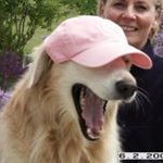 Gail Talbot - @gtalbot847 - Instagram