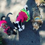 Gail Terry - @gail.terry.5268 - Instagram