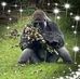Gail Thresher - Facebook