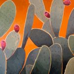 Gail Thurman - @gailthurman9 - Instagram