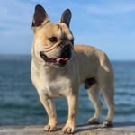Gail Timmins - @gailtimmins2 - Instagram