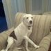 Gail Toth - Facebook