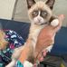 Gail Marie Townsend - Facebook