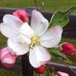 Gail Townsend - @townsend7972 - Instagram
