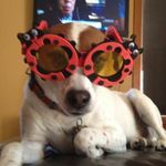 Gail Townsend - @winewench55 - Instagram