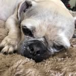 Gail Tyson - @gtyson49 - Instagram