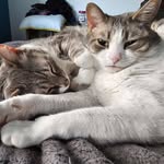 Gail Upton - @gail.m.upton.3 - Instagram