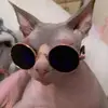 Gail Van Duursen - @gailvanduursen - TikTok