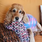 Gail Van Dyk - @gailvandyk55 - Instagram