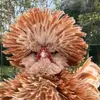 Gail Vann820 - @gailvann820 - TikTok