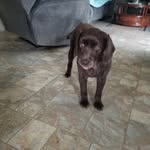 Gail Collins Vangorder - @gailvangorder - Instagram