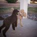 Gail Vinson - Facebook