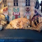 Gail M Wahl - @gailmwahl - Instagram