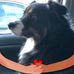 Gail Waite - Facebook