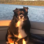Gail Waite - @gailwrightwaite - Instagram