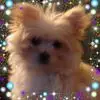 Gail Wakefield Fletcher - @gail.wakefield.fl - TikTok