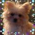 Gail Wakefield Fletcher - Facebook