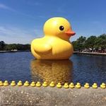 Gail Wakefield Tompkins - @gtompkins180 - Instagram