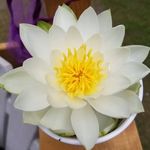 Gale Wakefield - @galew2925 - Instagram
