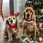 Gail Laurens Walker - @gail.walker.7528 - Instagram