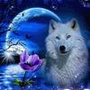 Gail Walker1882 - @user9995981384245 - TikTok