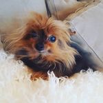 Gail Walker - @gailwalker362 - Instagram