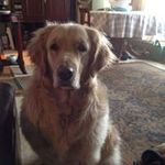 Gail Watkins - @gailwatkins7519 - Instagram