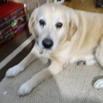 Gail Watkins - @gail.watkins.589100 - Instagram