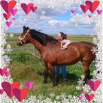 Gail Watkins - @brucethepony - Instagram