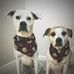 Gail Watkins - Facebook
