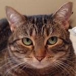 Gail-Bruce Webber - @gailbrucewebber - Instagram