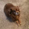 user2544073838881 - @gailwms - TikTok