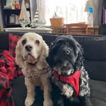 Gail Westfall-aylsworth - @westfallaylsworth - Instagram