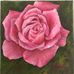 Gail Whitney - Facebook
