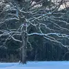 gailwiggins52 - @gailwiggins52 - TikTok