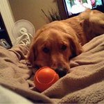Gail Willard Goodman - @willardgail - Instagram