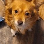 Gail Burns - @burnsgail_winfield - Instagram