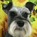 Gayle Winfield - Facebook