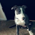 Abygail Woolfolk - @abygailwoolfolk - Instagram