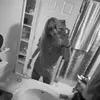 gwoolfolk - @gwoolfolk - TikTok
